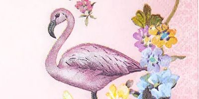 Flamingo