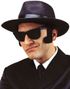 Svarte Blues Brothers Matte Wayfarer Briller 