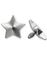 Silver Star - Dermal Anchor Kule