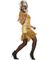 80 talls Tina Turner Gullfarget Kostyme