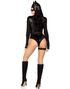 Fierce Feline - Catwoman Inspirert Kostyme