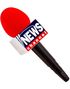 Breaking News - Mikrofon 25 cm
