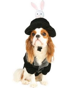 Hat Trick Hundekostyme