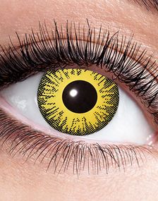 1873238400_1Sunflower Crazylinser