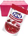 16 stk Fini Sensation Red Mix - Forskjellig Vingummi med Fyll - Hel Eske 2,64 kg