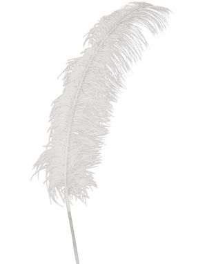 12 Stk. Gigantiske Hvite Strutsefjær - 50 cm